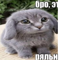 Никтожество