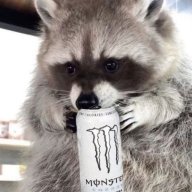 rikoXD