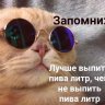 brod9ga_hyligan
