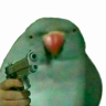 maxingem