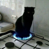 navaxa