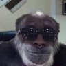 Eddie_Montes