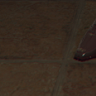 S07012006sS