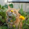 k1ngy