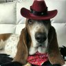 HohloRider