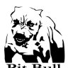 PittBull