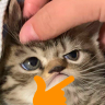 Reru