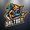 SaltBoy