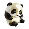 Pandychh