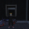 Zentelide_Kingston