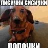 Lev_Koshakovich