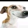 FaceChoppa