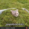 Mshk_Barni1