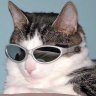 Thomas_Yagiez