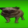 bebra4ki