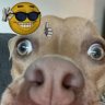 Marko_Prosen