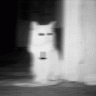 Нифтик