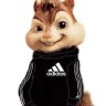 Elvin_Wasabovich