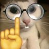 Adel_Latypov