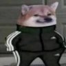 Selman_FN
