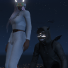 Miron_Disstres