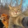 Andron_Mironov