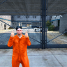Niс_MсFly