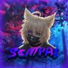Sempai_Kotov