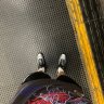 Petya_Reed