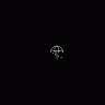 anomisle