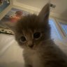 Danya_Dovero