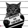 Ben_Zhulikyan