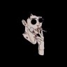 _naiman