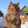 Oleksandr_Skorohod