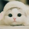 mary_lukina