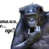 Russ_Bodrov