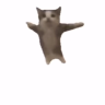 xgoddd