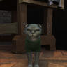 Dagget_Beaver