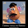 senxvwk