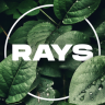 Rays Morgan