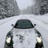 Albert_Mamaev