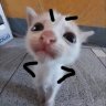 Alisherka005