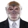 Vaxei