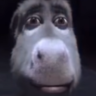 acgdso