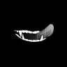 KoRa22
