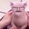 mnepriyatno