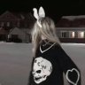 IceFan