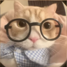 Damir_Bergov