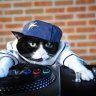 iluha228play