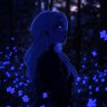 Insomnia Nox